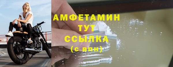 гидра Верхний Тагил