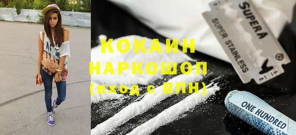 гидра Верхний Тагил