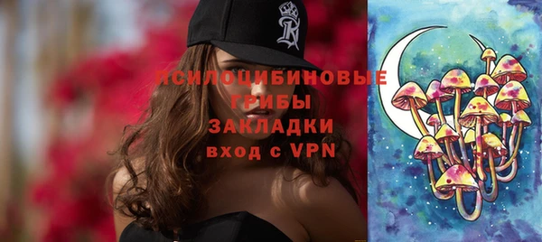 гидра Верхний Тагил