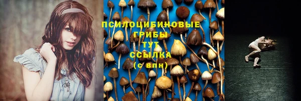 гидра Верхний Тагил