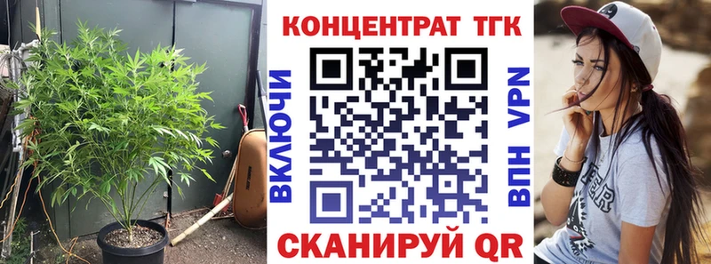 Купить  Надым  ТГК Wax 